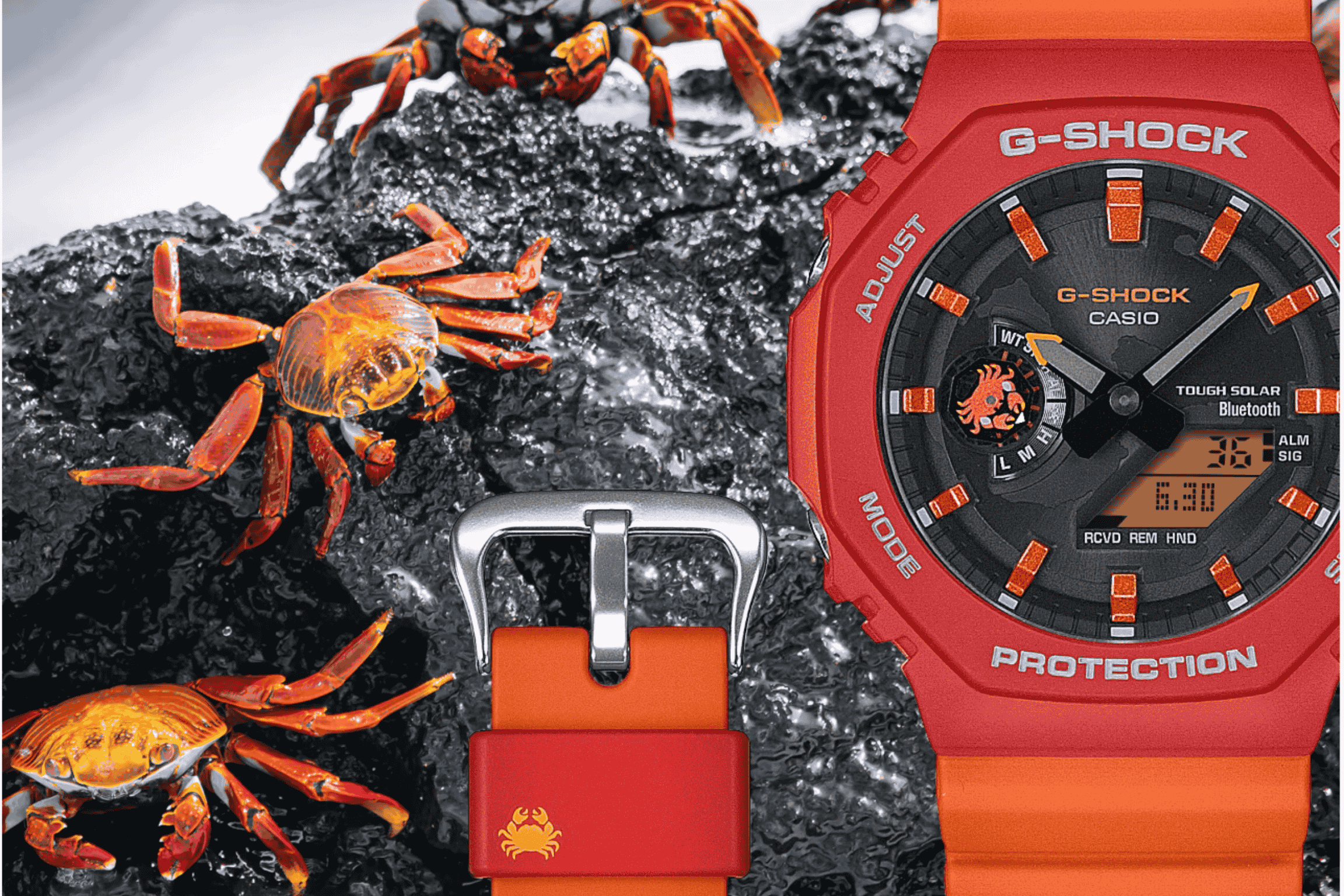 Orange and red watch displayed next to orange and red crabs