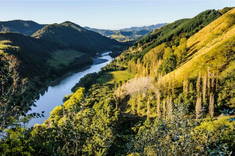 River cuts through green mountainside