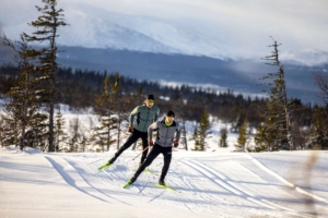 two people nordic skiing