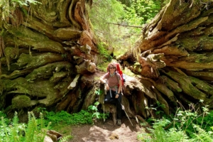 backpacker sits on fallen tree