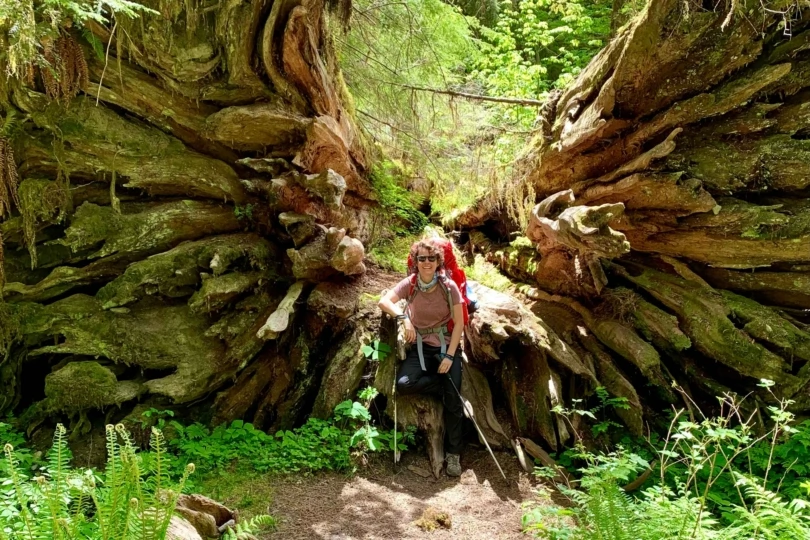 backpacker sits on fallen tree