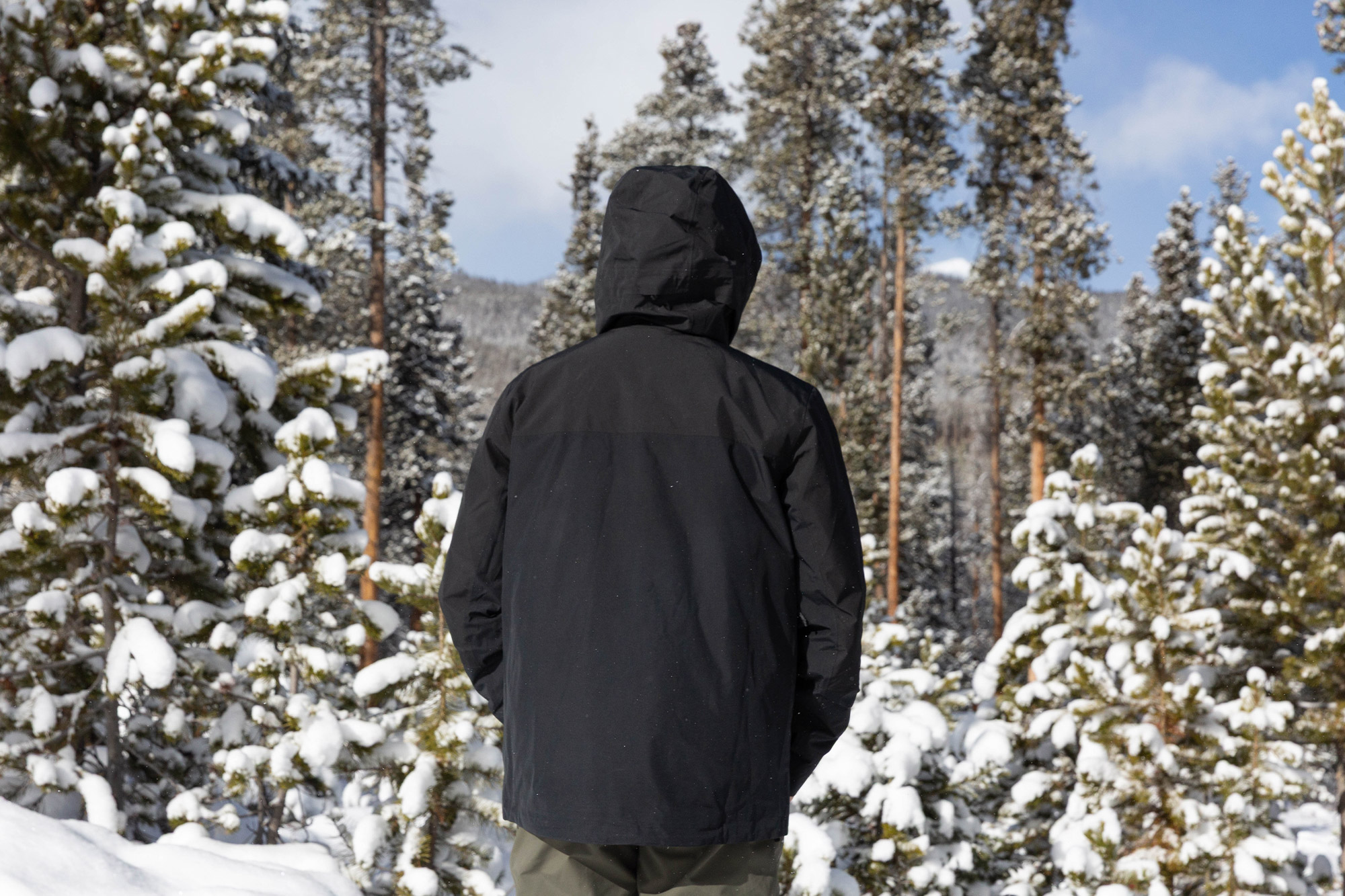 Back view of the First Chair shell in the snowy forest