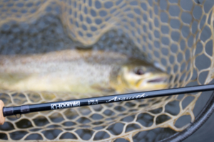 The G. Loomis Asquith 9' 6 weight fly rod over a brown trout in a submerged fishing net.