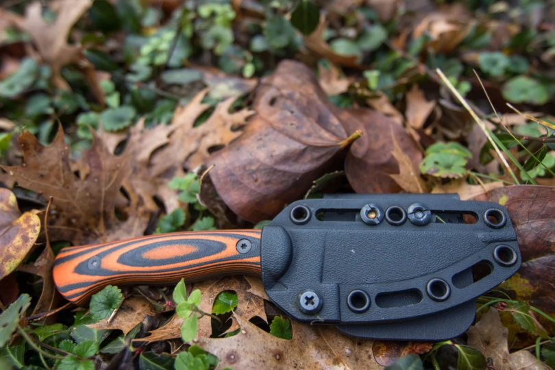 A sheathed knife on fall leaves