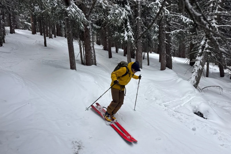 Helly Hansen Emiko pants worn while skiing through trees in soft snow