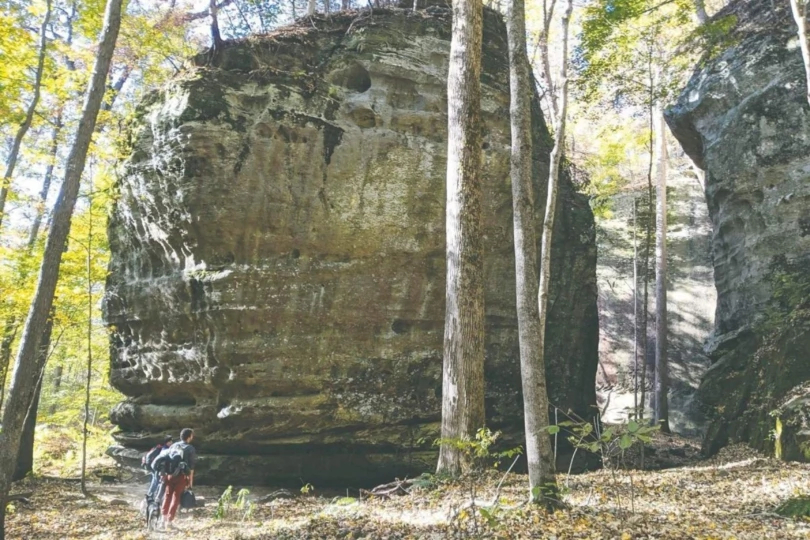 rock in forest with people