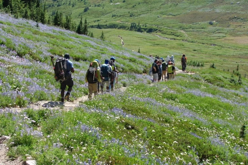 hikers on trail with wildflowers