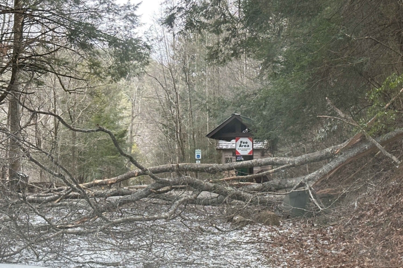 Damage Report: Winter Storm Ravages Appalachian Trail in Georgia