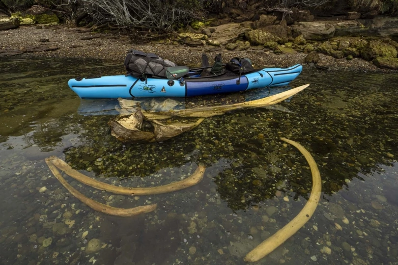 alpacka aleutian whale graveyard 2