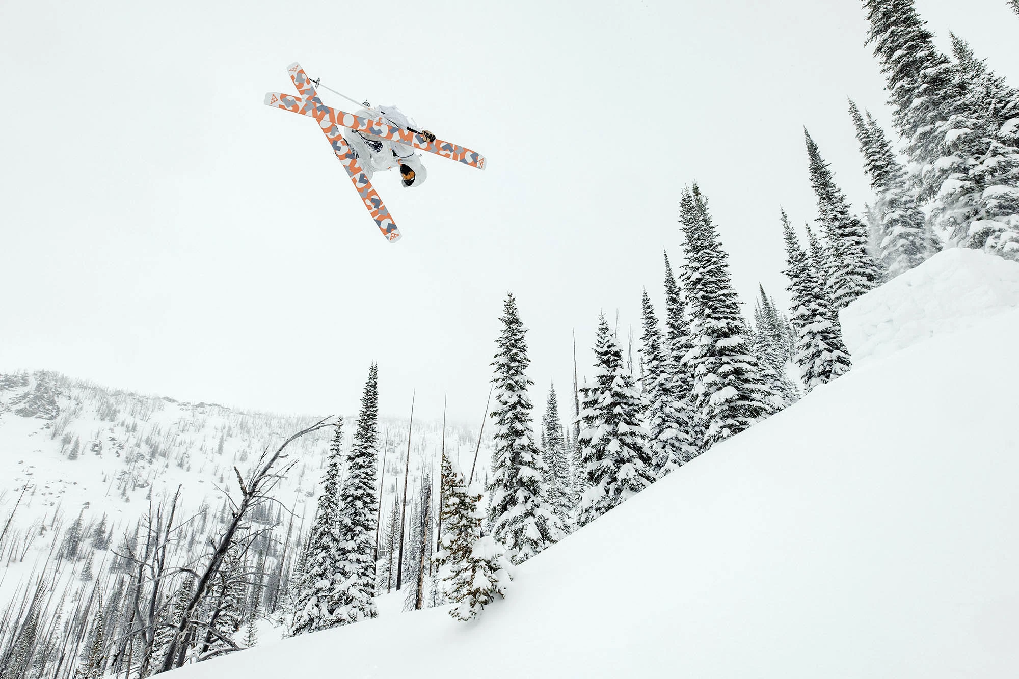 black crows powder hunter