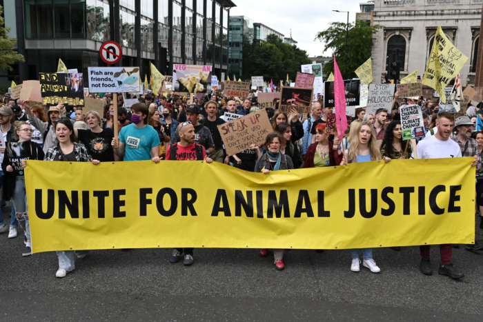 Animal rights activists marching on a street with signs