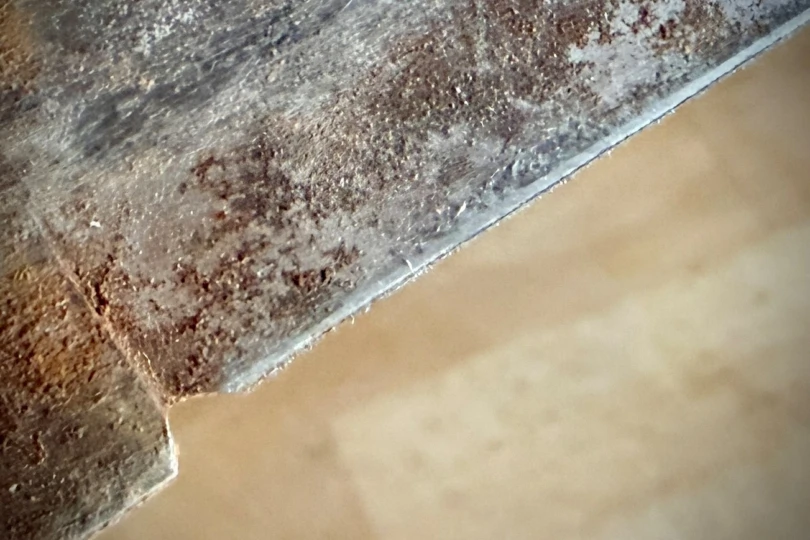 A close-up of a worn, rusty knife edge before sharpening