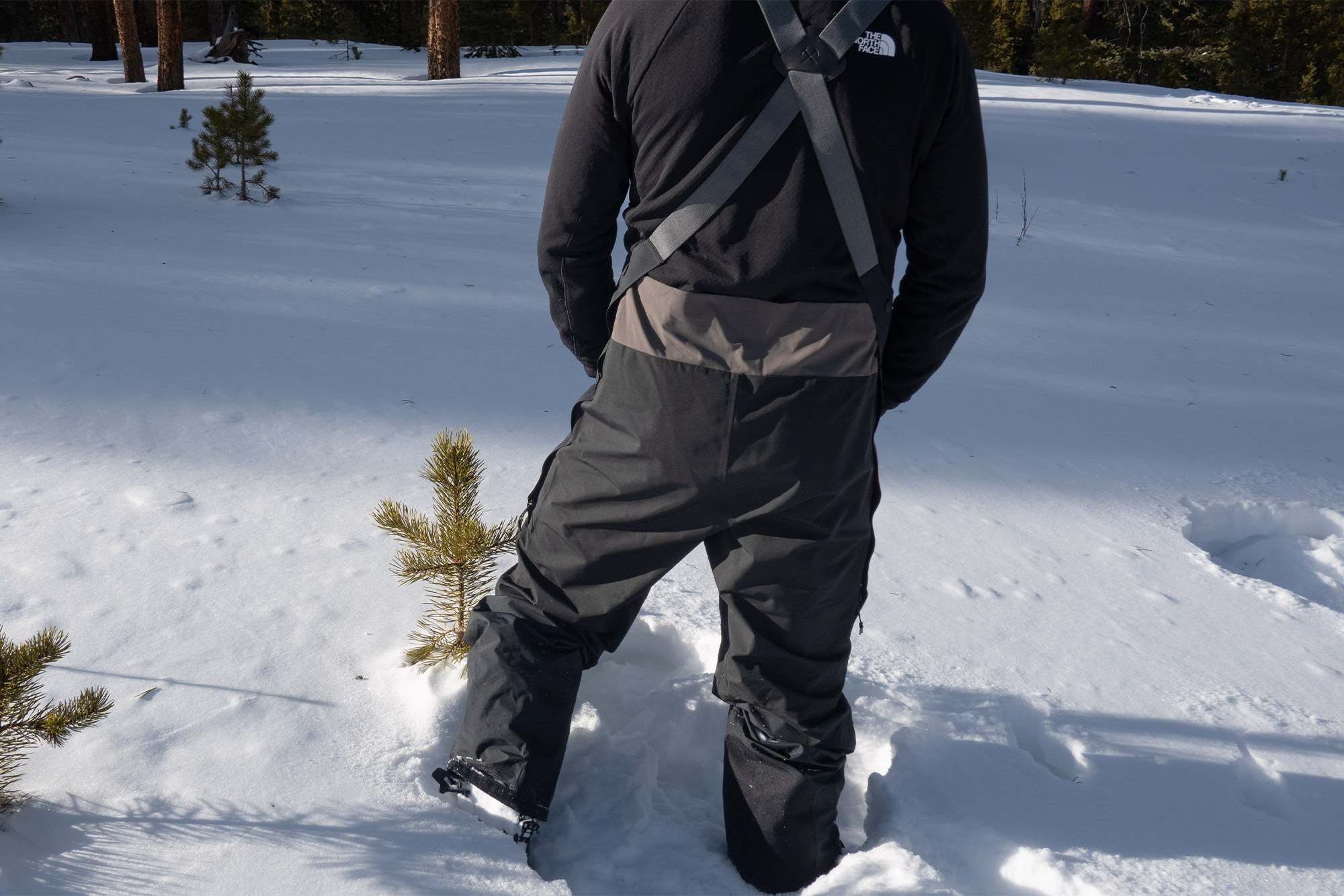 Rear view of ski bibs showing the suspenders and back panel while standing in snow