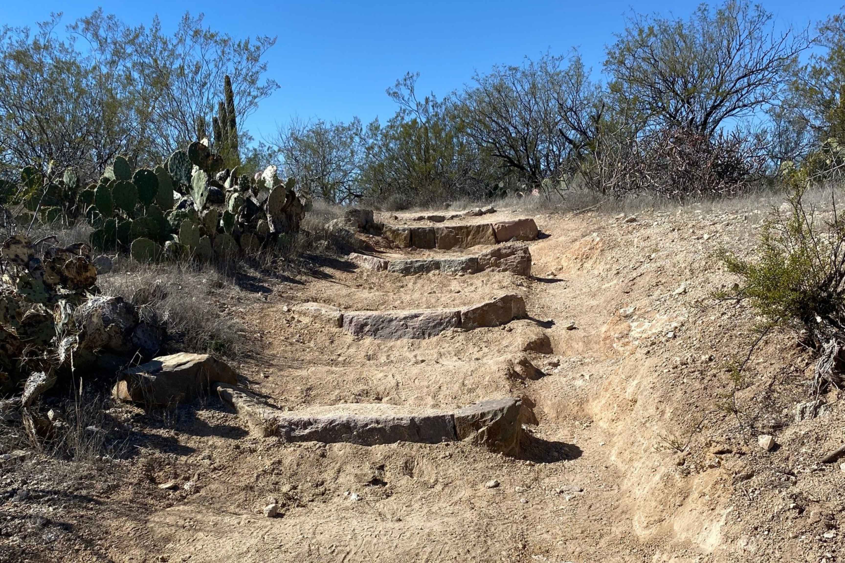 natural stone stairs on trail