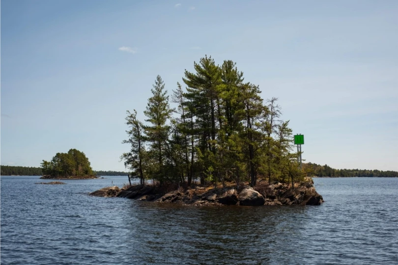 island with trees in middle of lake