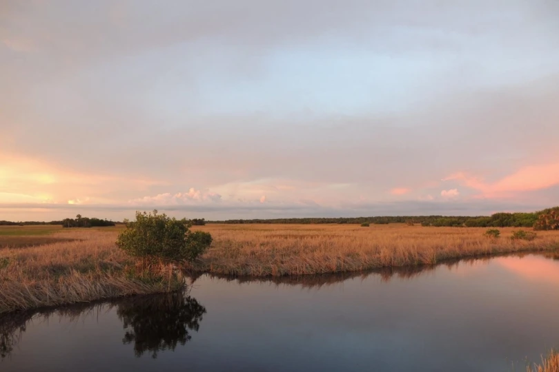 sunset over wetlands