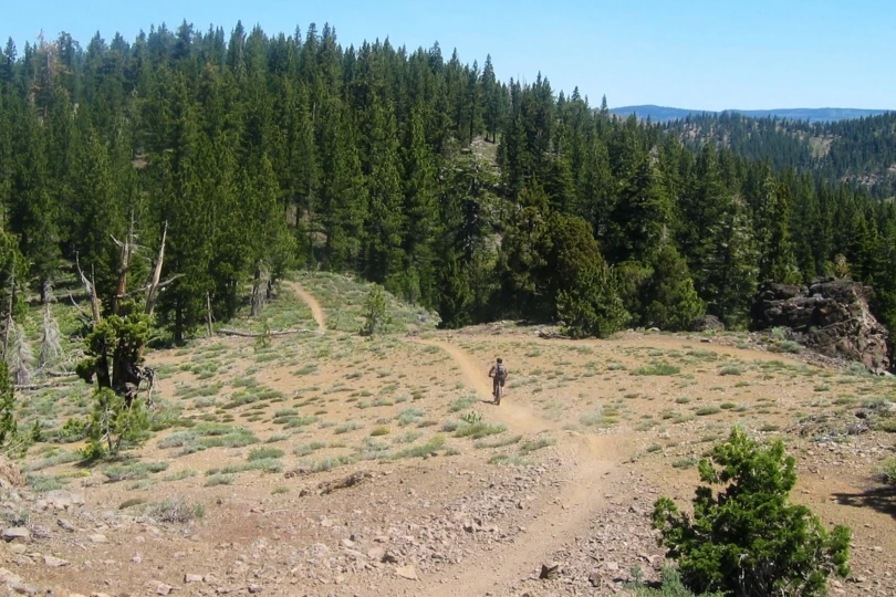 Biker on a trail in Tahoe area.