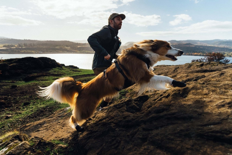 ruffwear ridgeline collection hero