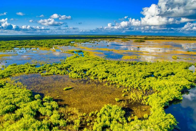 Everglades National Park