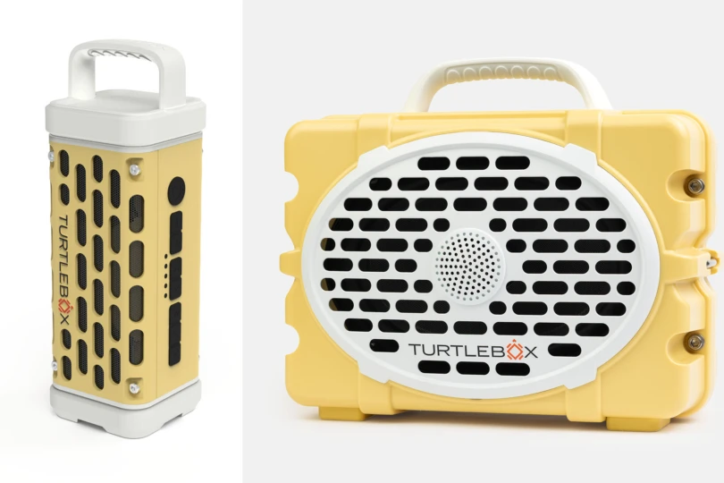 turtlebox fighting yellow lady