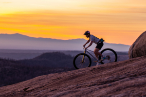 BTCHN-Alpina-32-inch MTB