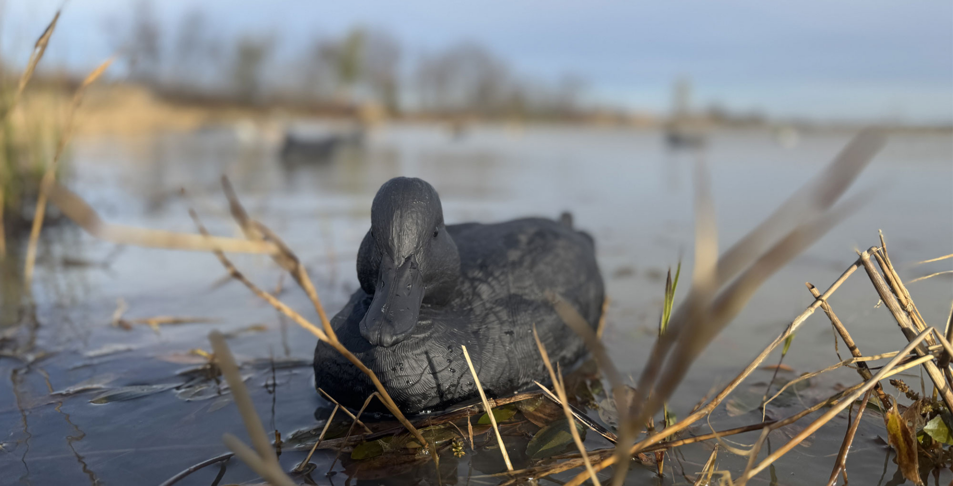Rig’em Right Mainline Series BLACKOUTS decoy on the wate
