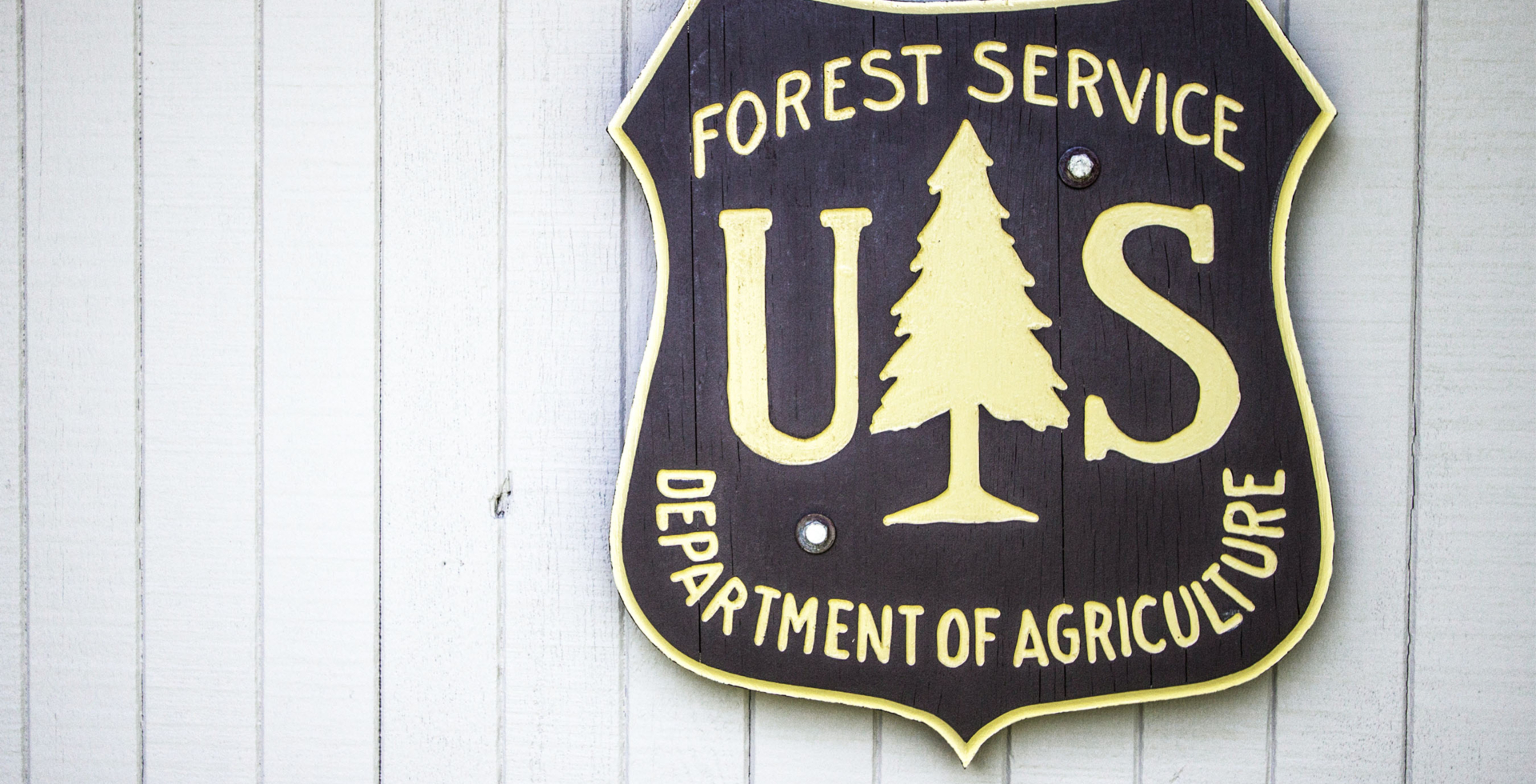 united states forest service