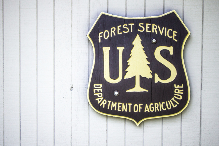 united states forest service