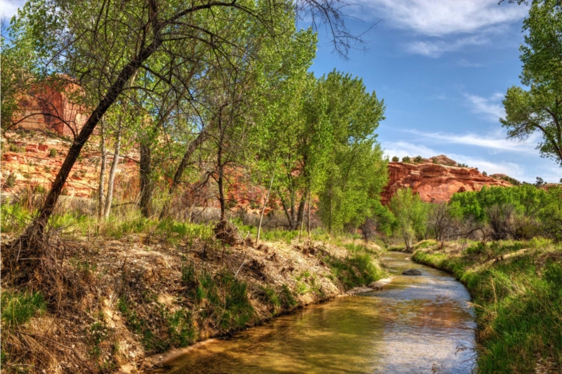 The National Monument People Can’t Stop Fighting About: Grand Staircase–Escalante