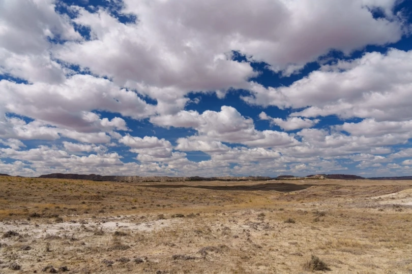 wide open blue sky and grass land