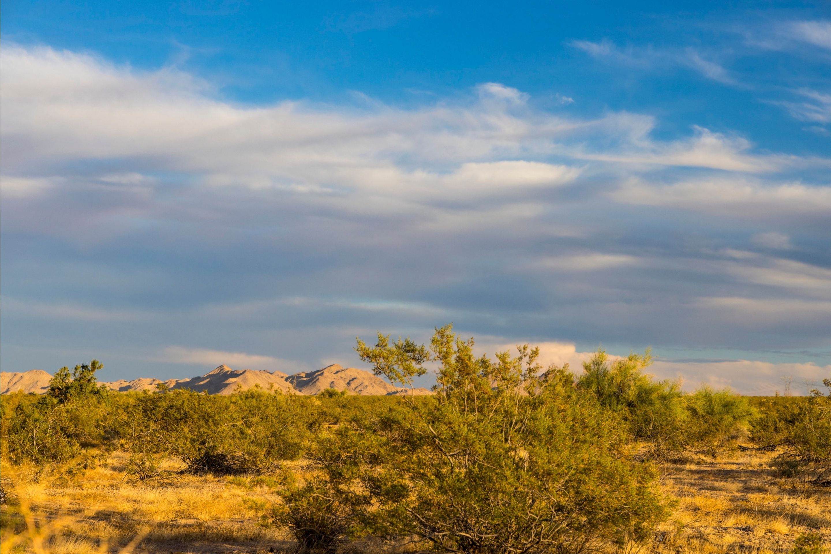 mountainous desert landscape