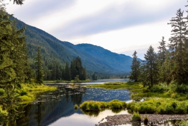 view of mountains stream and forest