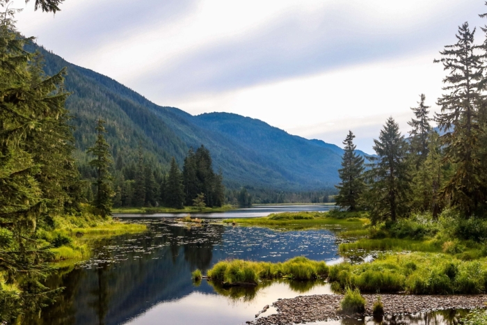 view of mountains stream and forest