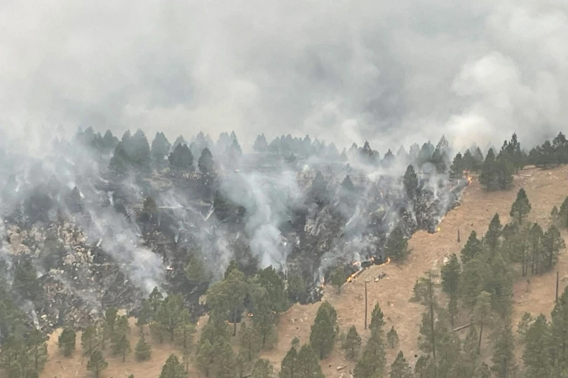 smoke cloaking forest in black hills, south dakota