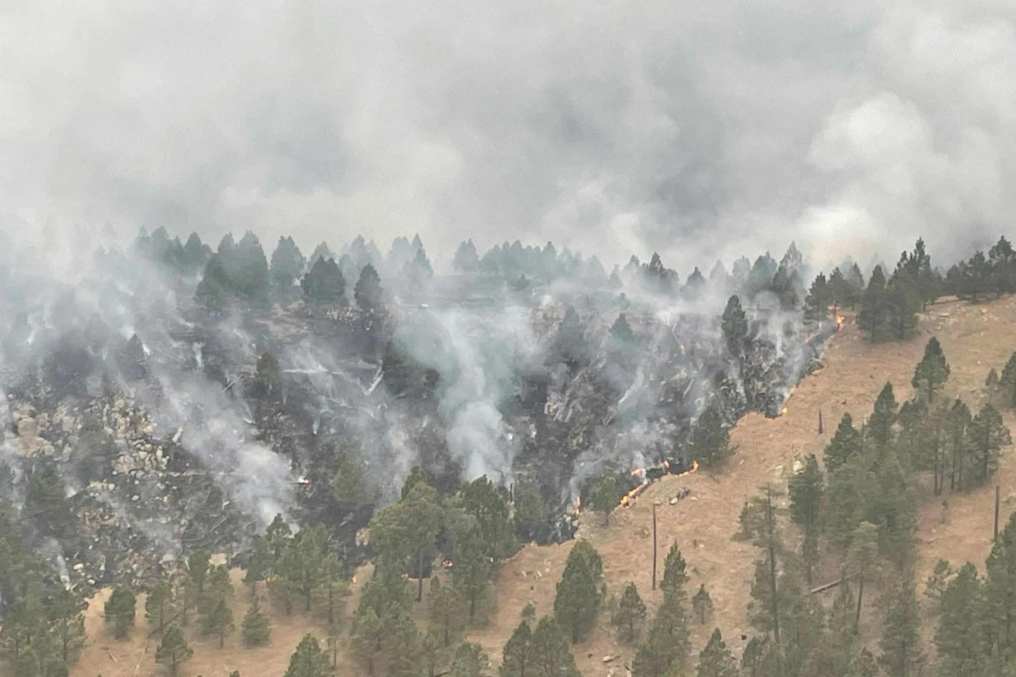 smoke cloaking forest in black hills, south dakota