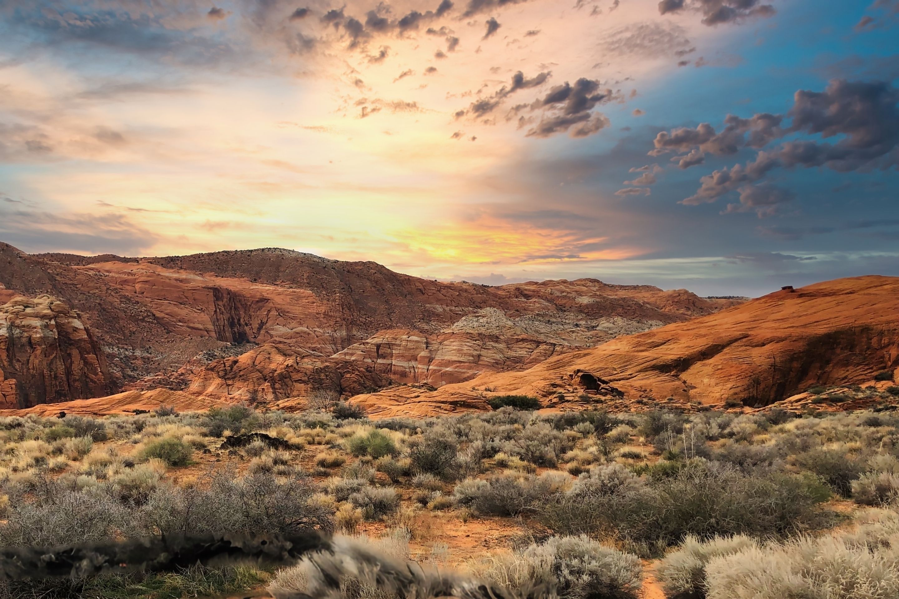 sunset over large rocky canyon