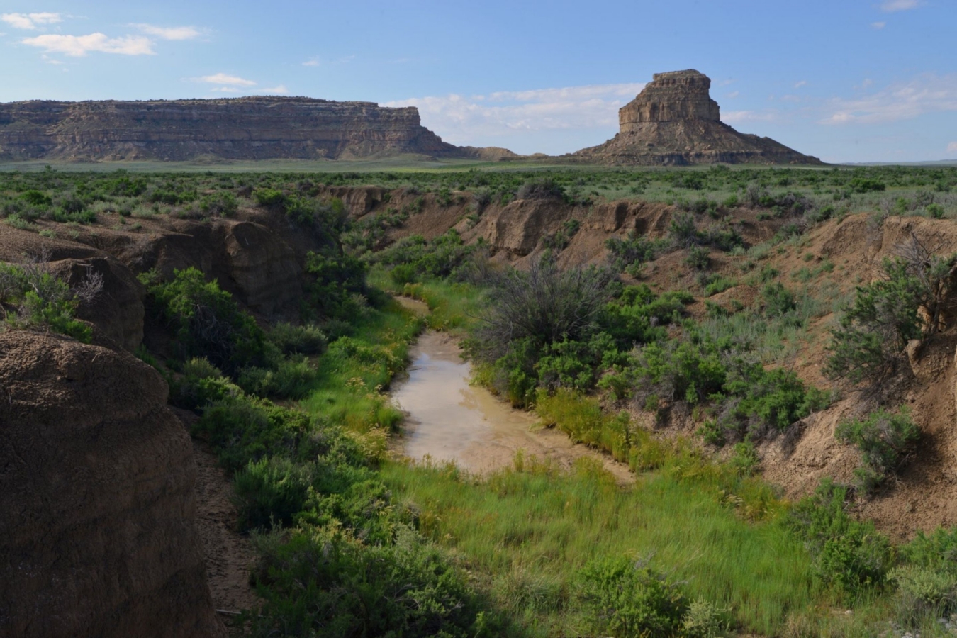 overview of bluff with river
