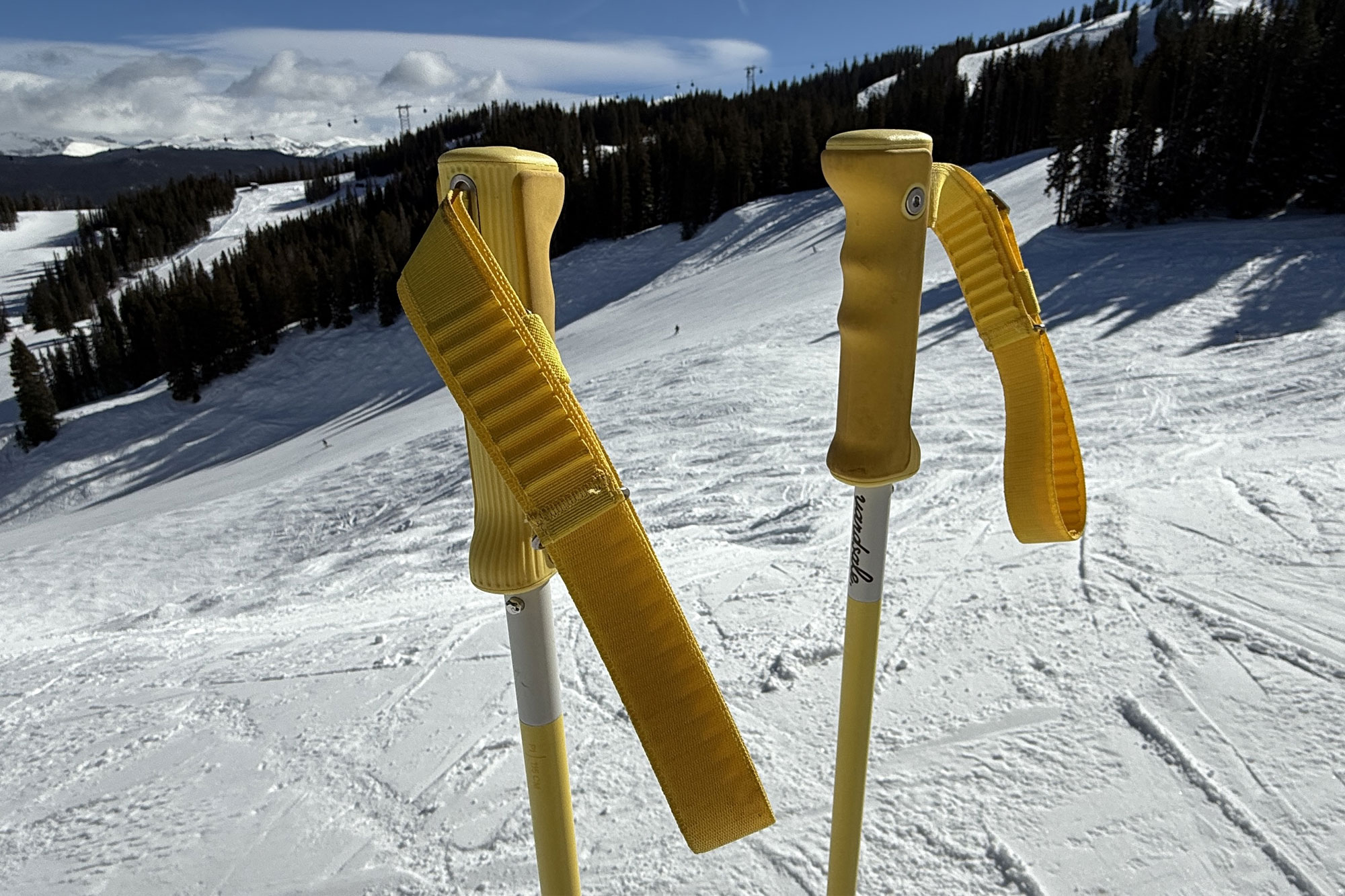 Yarsale P1 Resort Poles