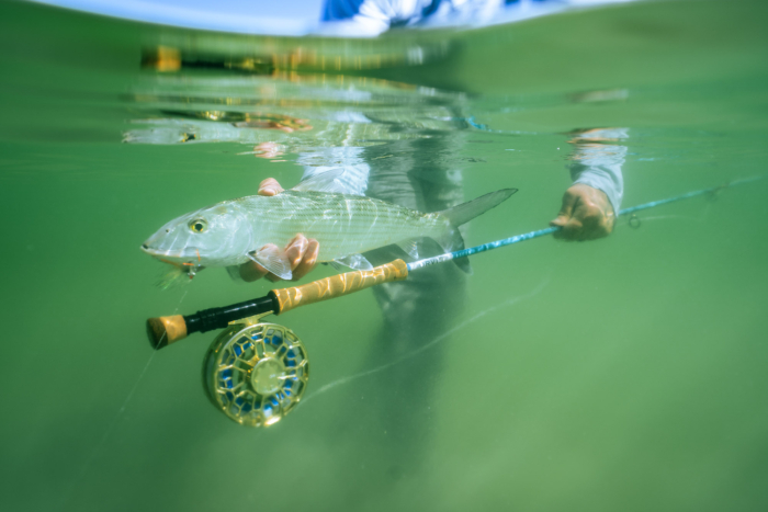 Rugged Fly Reel, Stylish Life Vest, Collapsible Baby Bottle, and More Emerging Gear