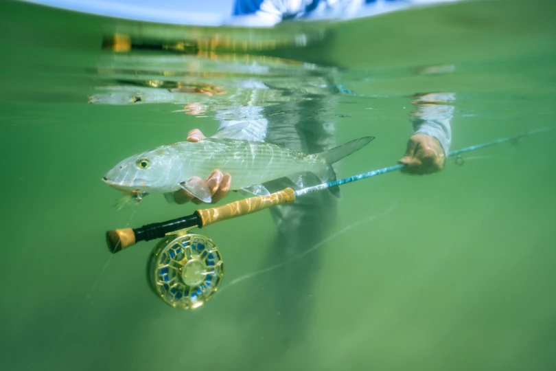 orvis ratio fly reel