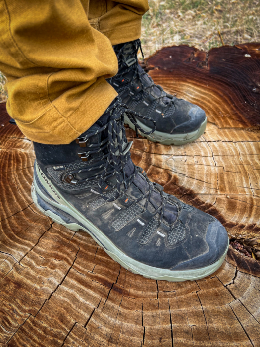 Salomon Quest 5 hiking boot