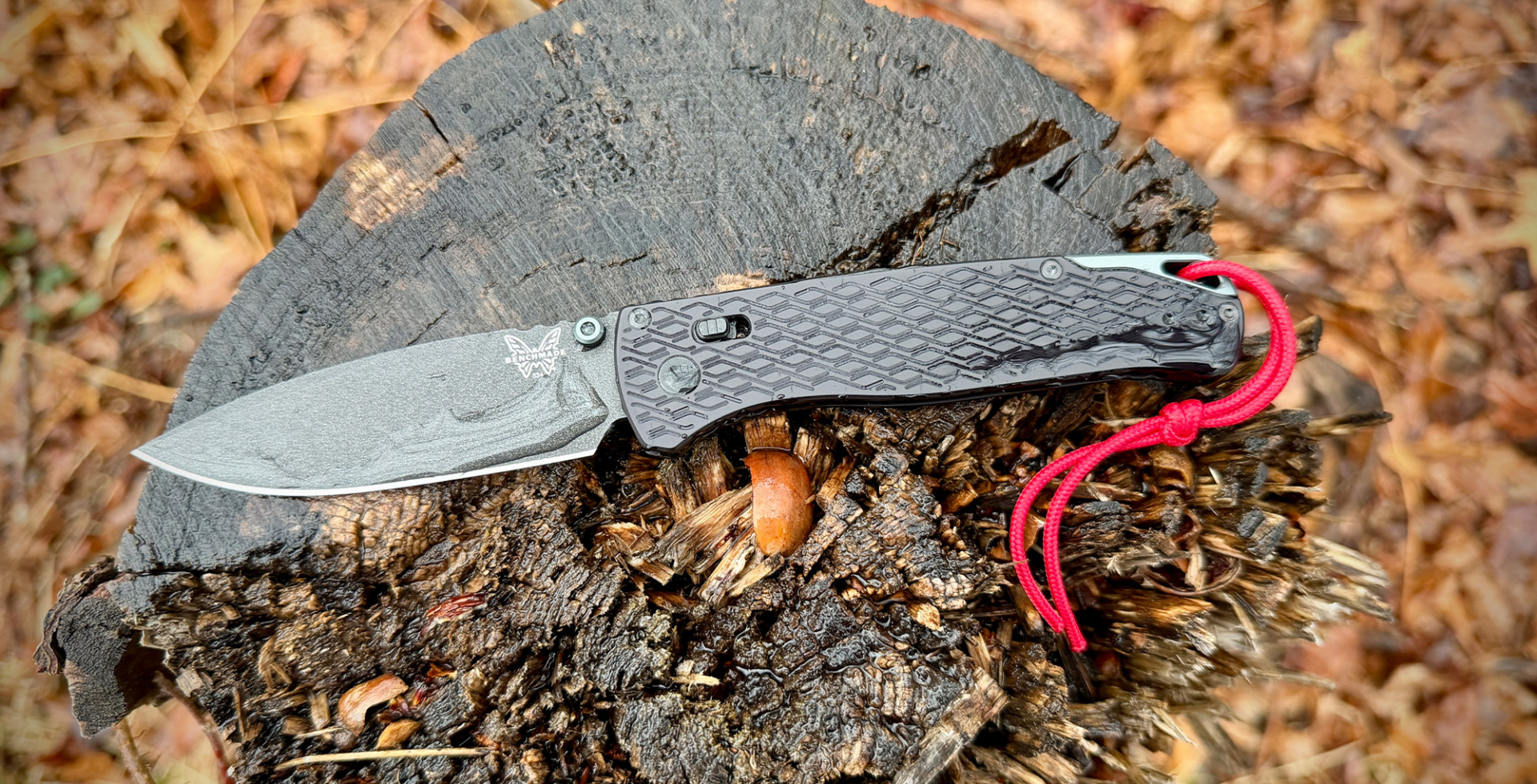 Bugout Vapyr resting on tree stump in damp outdoor conditions