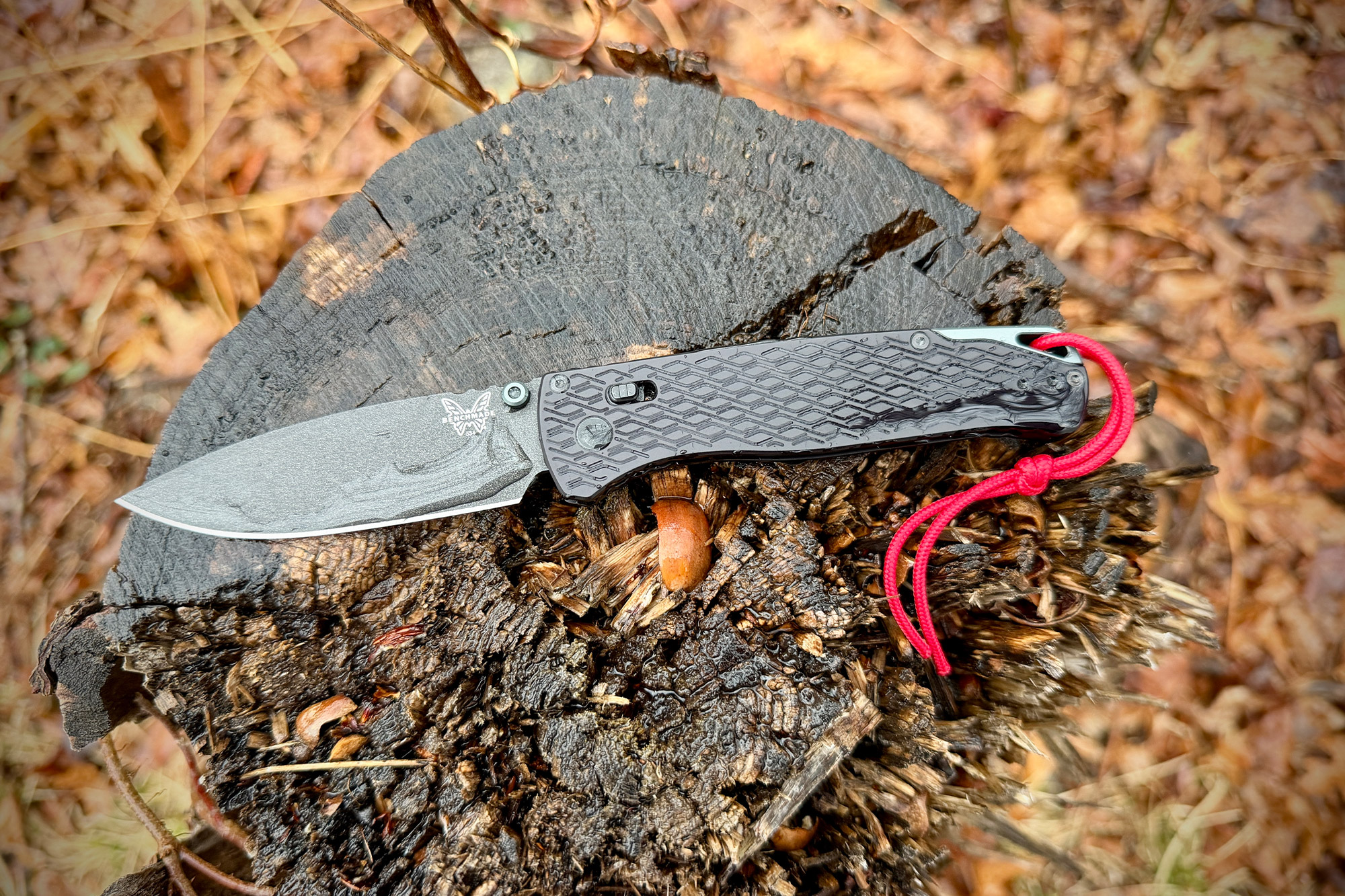 Bugout Vapyr resting on tree stump in damp outdoor conditions