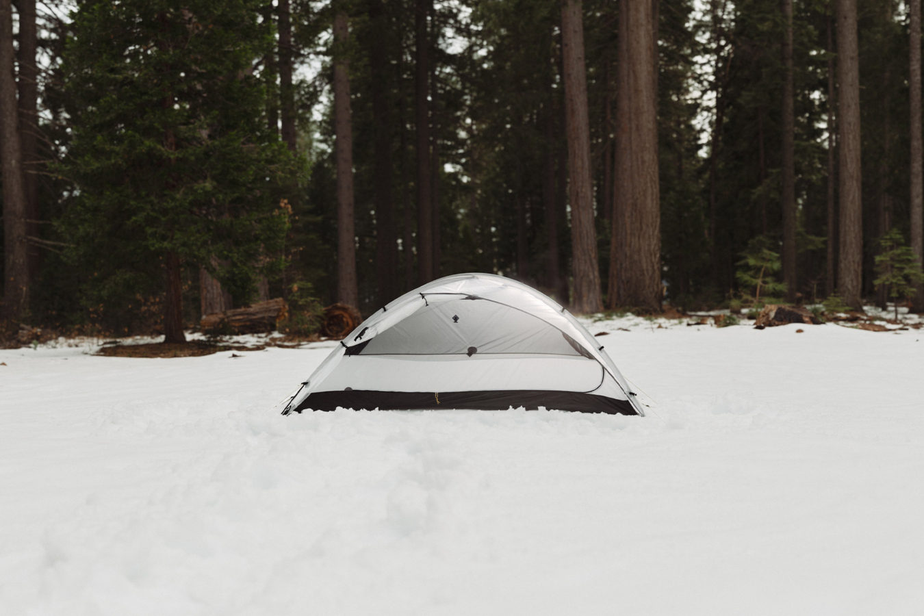 ArcDome tent pitched in snow with low dome profile in forest setting