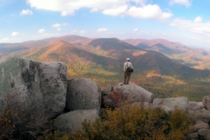 man stands on top of rock looking at forest