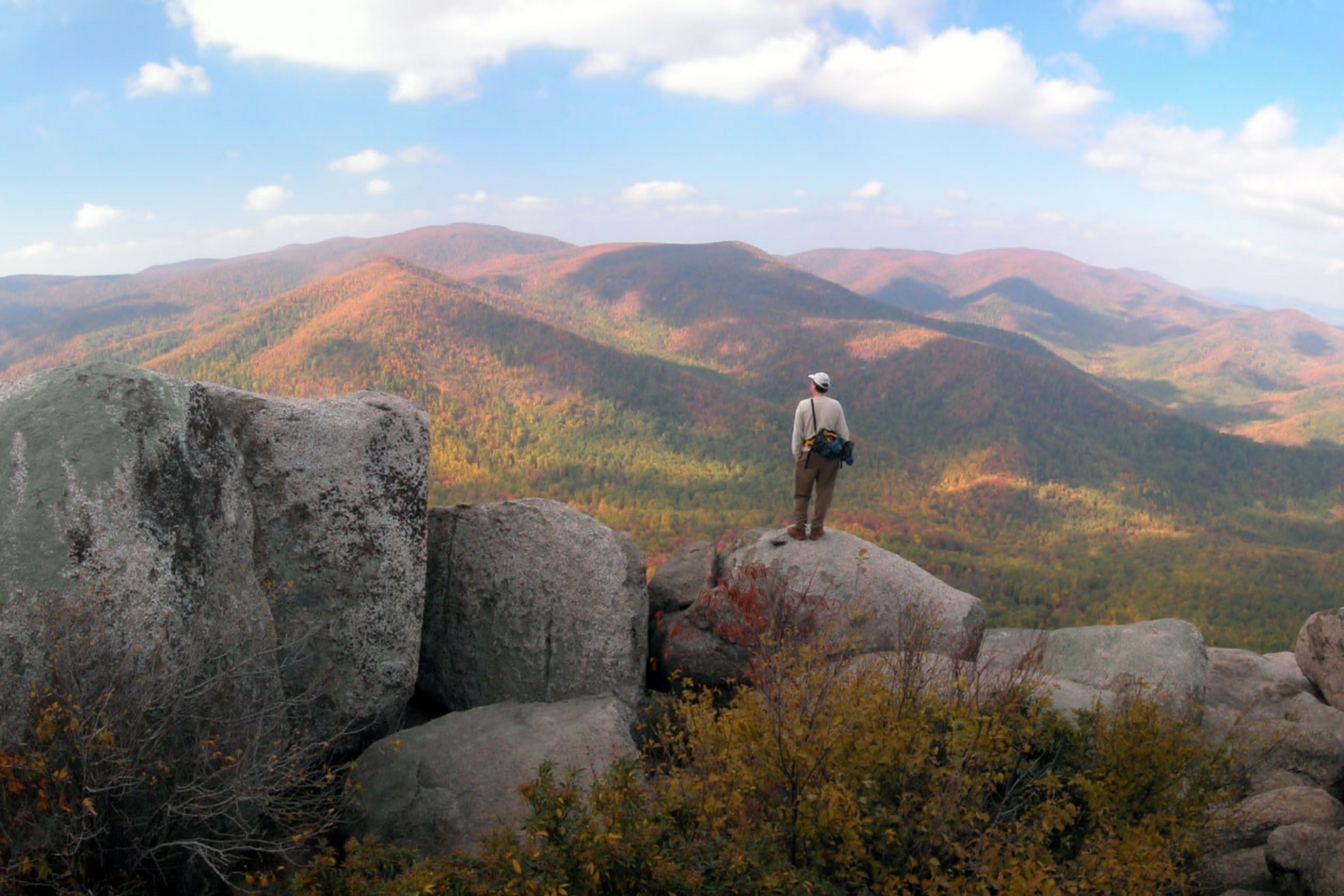 man stands on top of rock looking at forest
