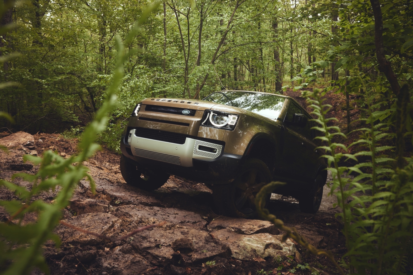 Why You Should Attend a Destination Defender Event