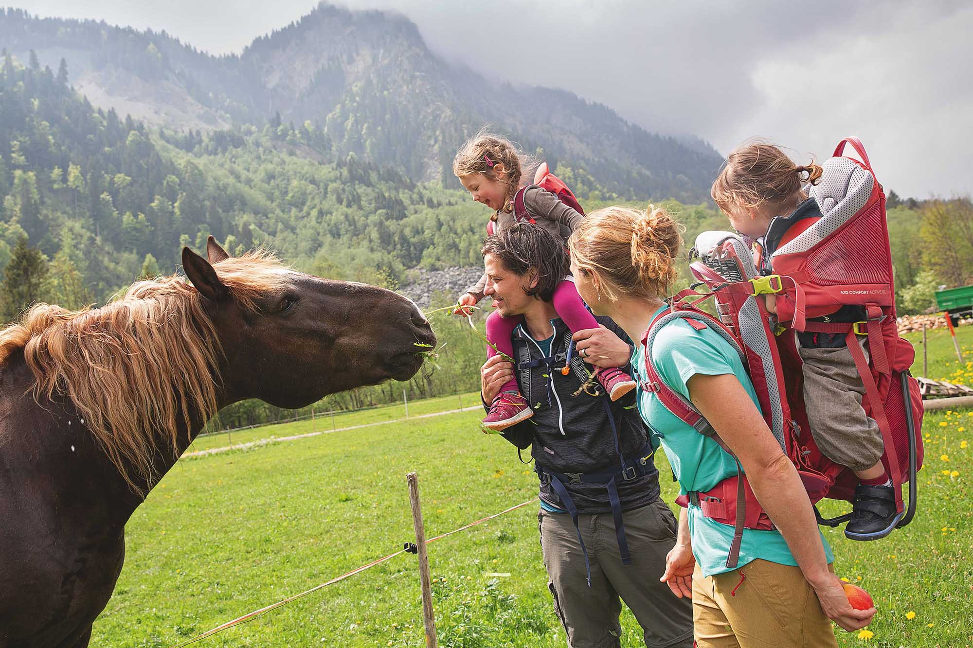 deuter child carrier