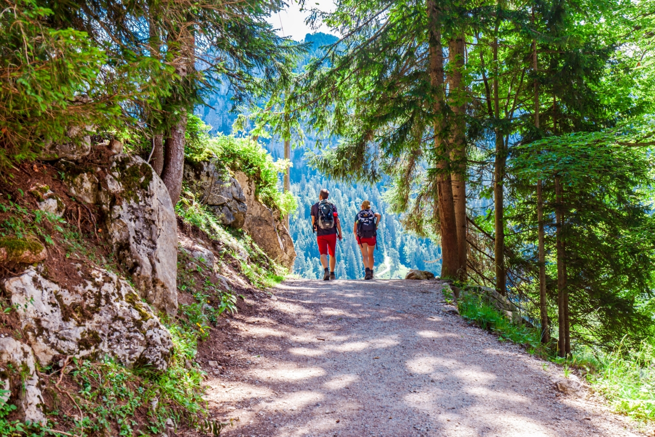 Trail Running and Hiking Safety Essentials