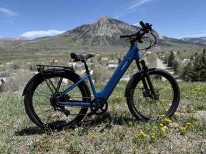 Portrait of the Tenways Wayfarer e-bike